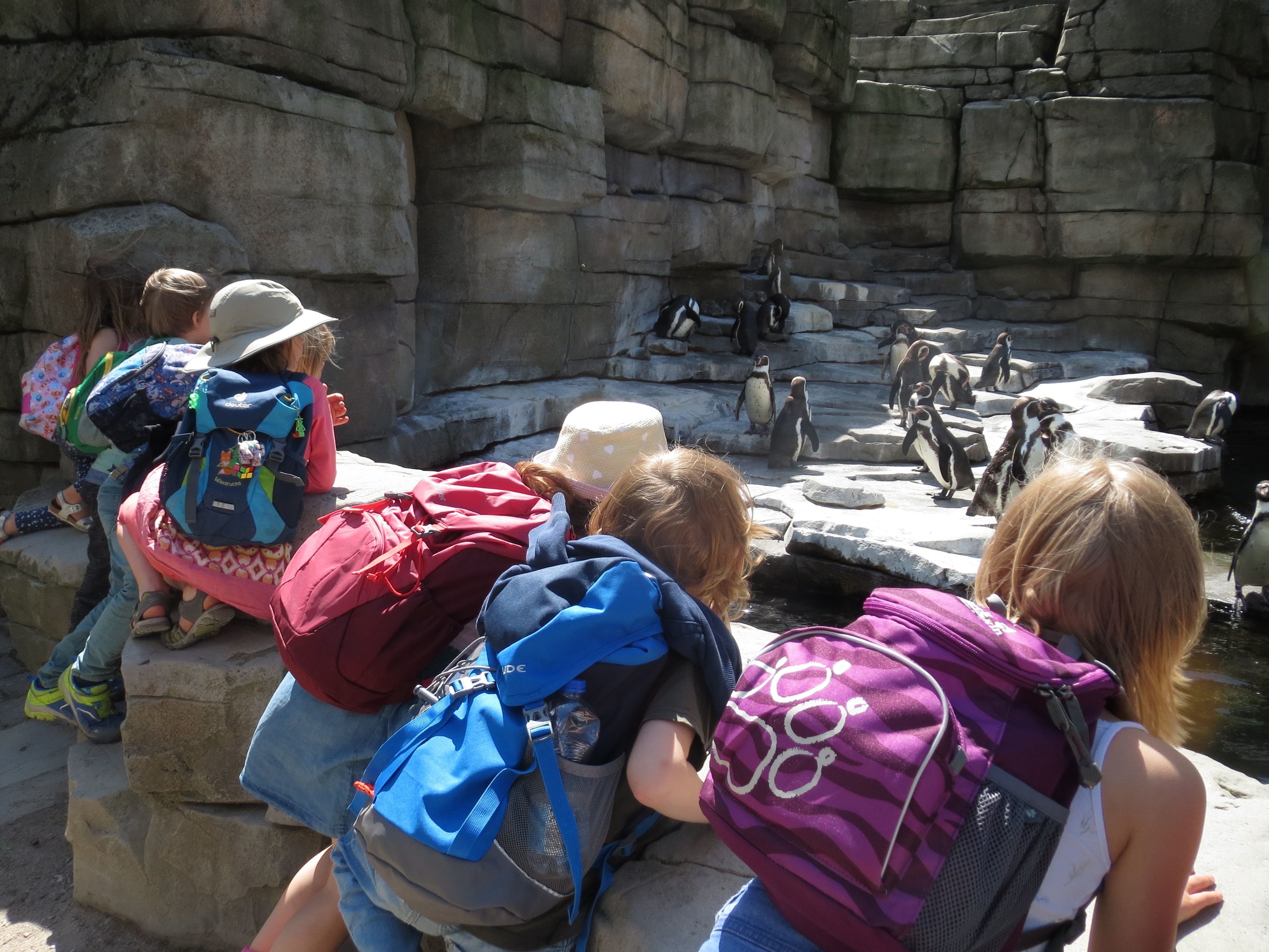 Kinder im Zoo bei den Pinguinen
